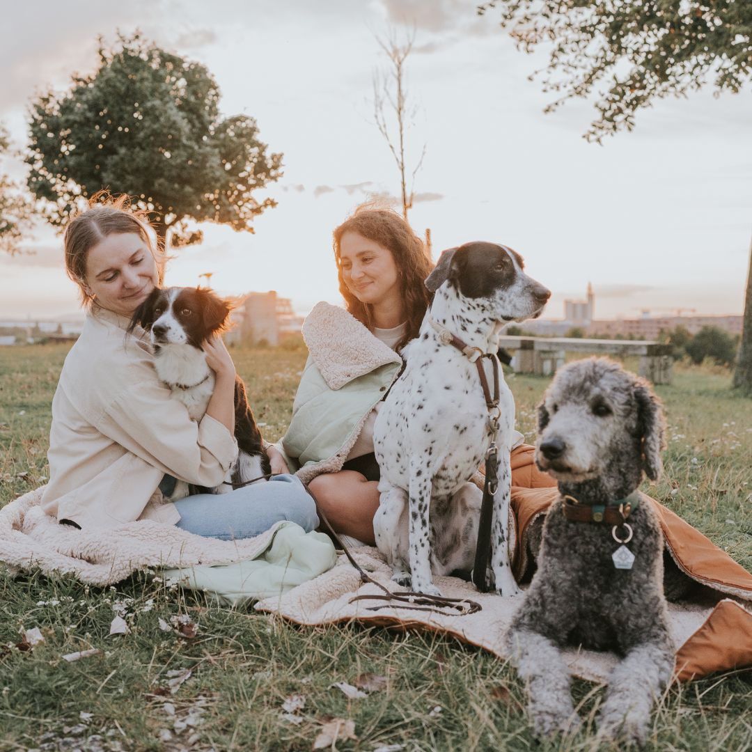 Outdoor blanket soft, large & recycled